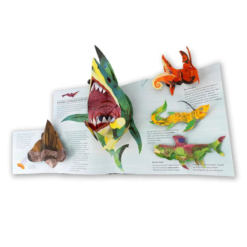 3D Encyclopedia Prehistorica